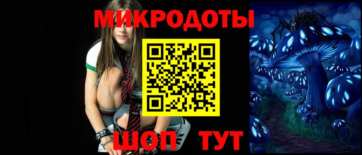Псилоцибиновые грибы Psilocybe Добрянка